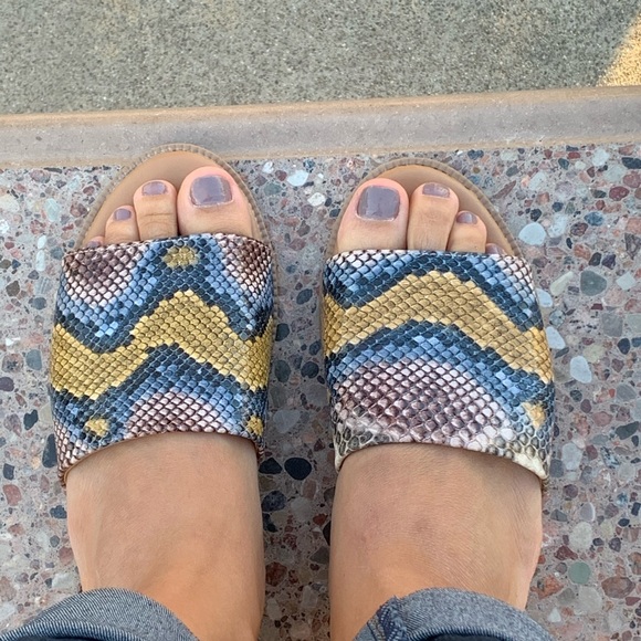 Shoes - Tan Blue Snake Color Open Toe Flat Slingback